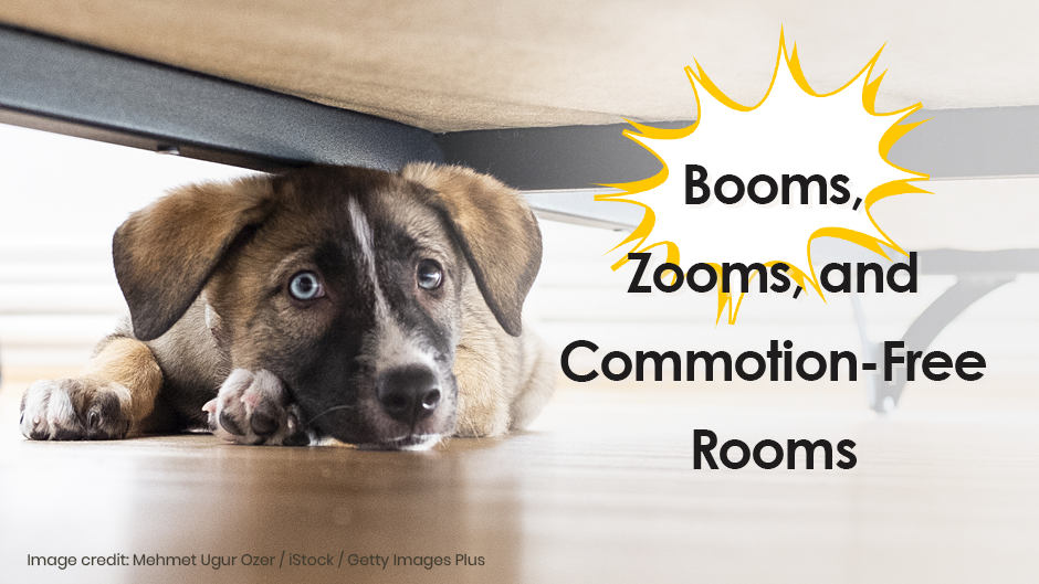 Booms, Zooms, and Commotion-Free Rooms