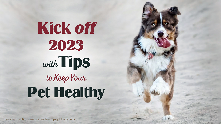 Kick off 2023 with tips to keep your pet healthy.