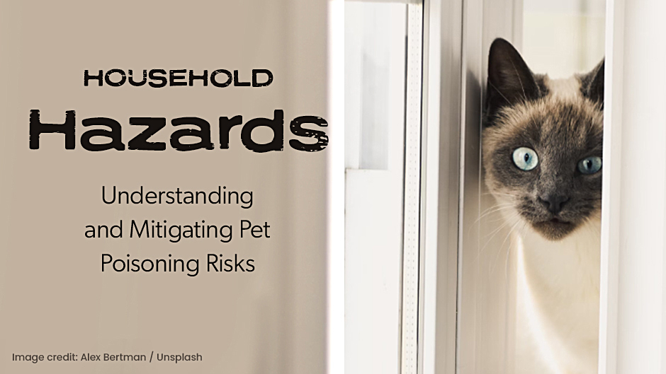 A siamese cat peeking from behind a curtain next to a heading about household hazards and pet poisoning risks.
